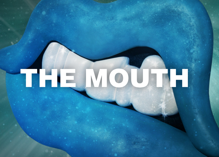 Native Instruments The Mouth